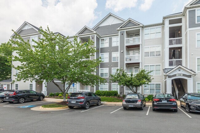 Windsor Herndon Apartments For Rent in Herndon, VA