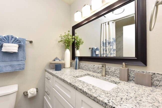 Bathroom with Granite Counters