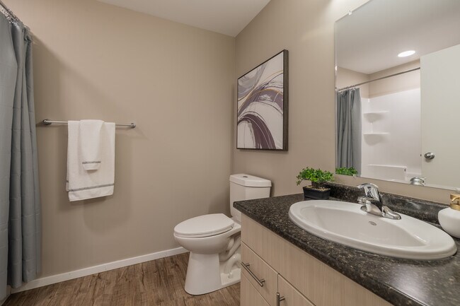 Blackstone Village - 2BR, 2BA - 855SF - Primary Bathroom - Blackstone Village
