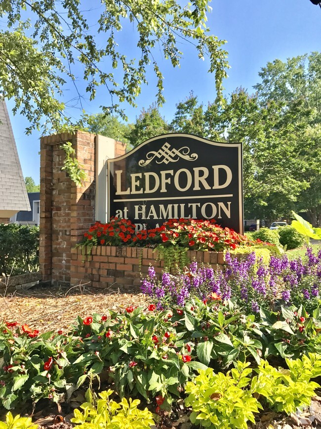 Building Photo - Ledford at Hamilton Place Rental