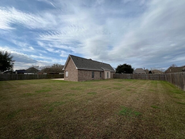 Photo - Pelican Crossing