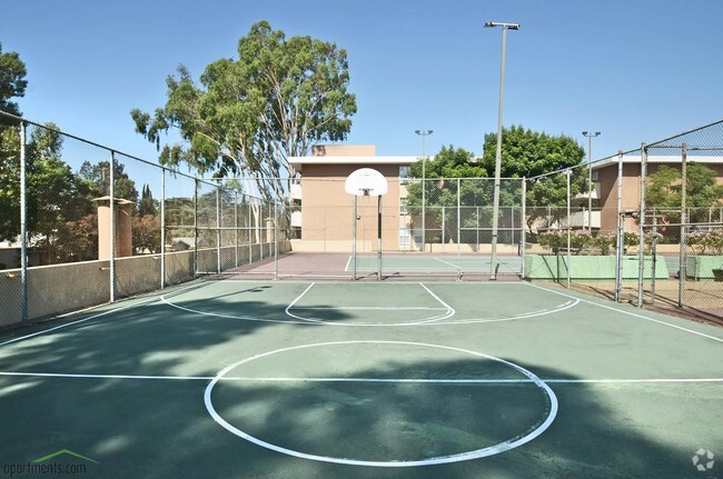 Basketball Court