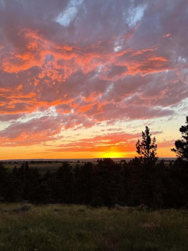 Building Photo - 4190 Blackpool Trail