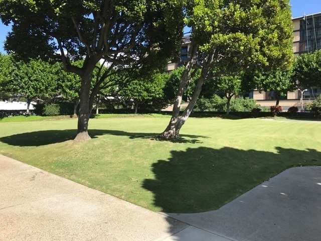 Photo - 2 Bedroom, 2 Bathroom, 1 Parking (1350 Ala... Unit 1707