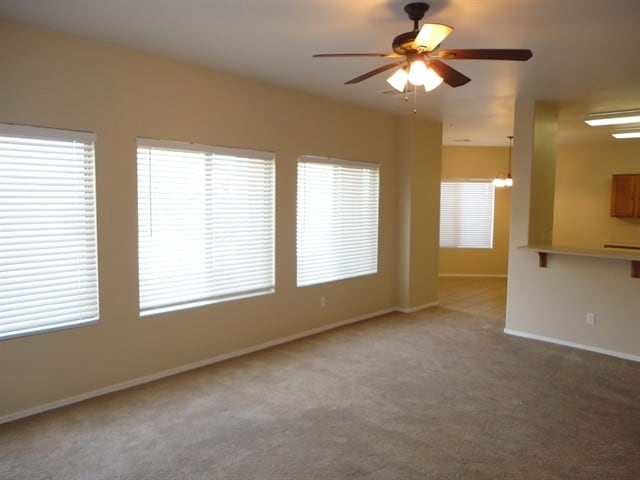 Photo - 420 E Palomino Way