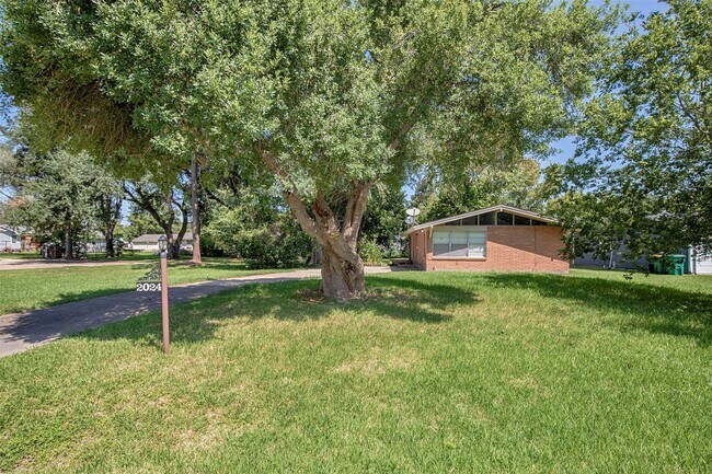 Photo - 2024 Bogatto St