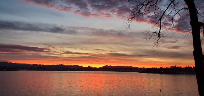 Photo - 1611 Vernon Rd