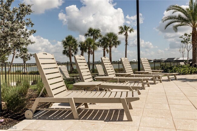 Photo - 43821 Seedling Ter