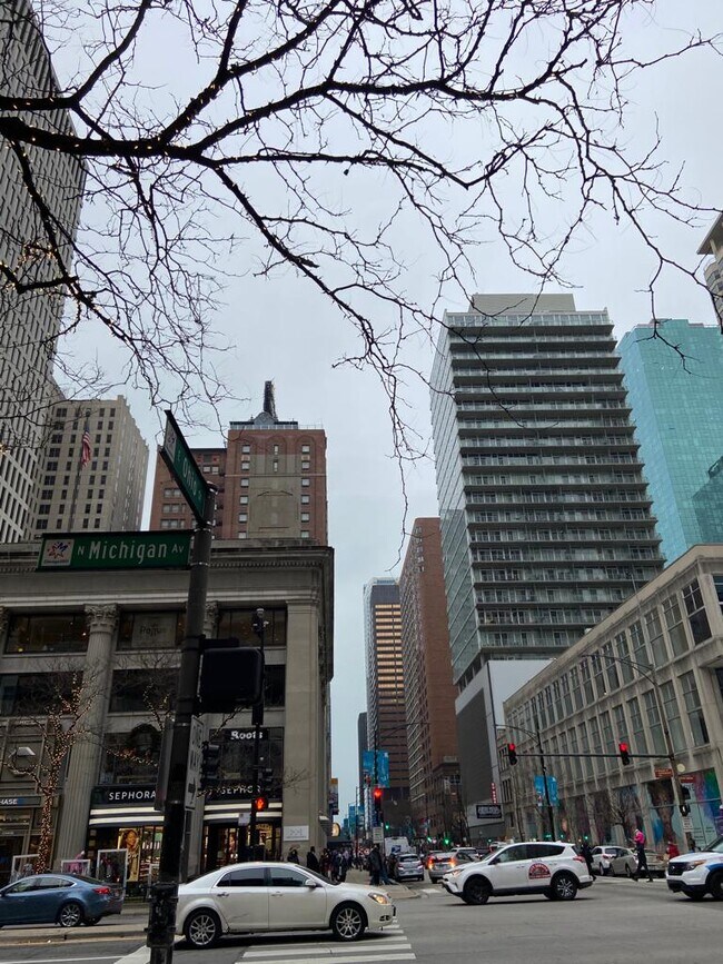 Photo - 550 N Saint Clair St Unit 903