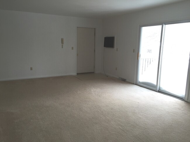 Photo - 2 Cedarwood