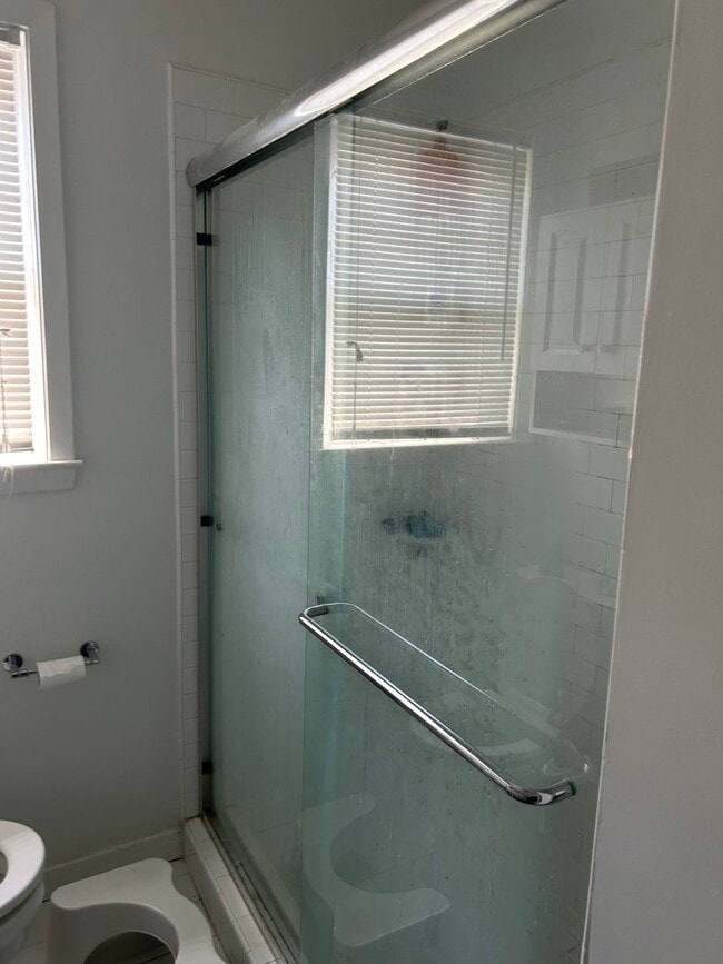 Baño recientemente reformado con ducha a ras de suelo. - 716 N Jackson St Unidad 2