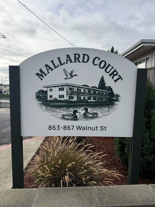 Photo - Spacious Apartments in the Desirable Bronze Coast Neighborhood Unit 867-D