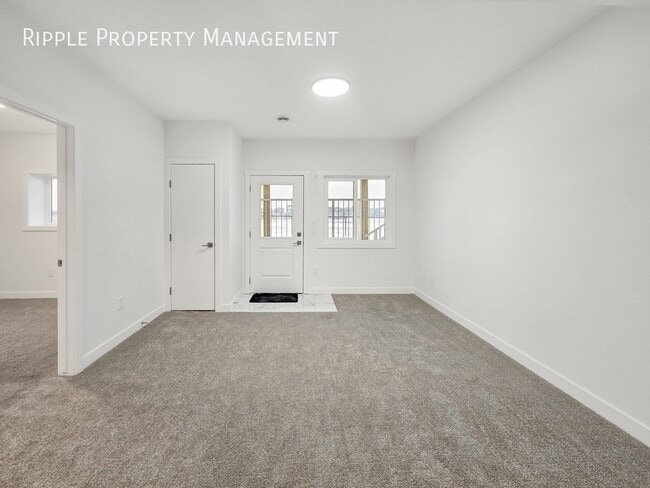 Photo - BRAND NEW 2 BEDS, 1 BATH WALKOUT BASEMENT | BRIGHT & MODERN | PRIVATE ENTRY