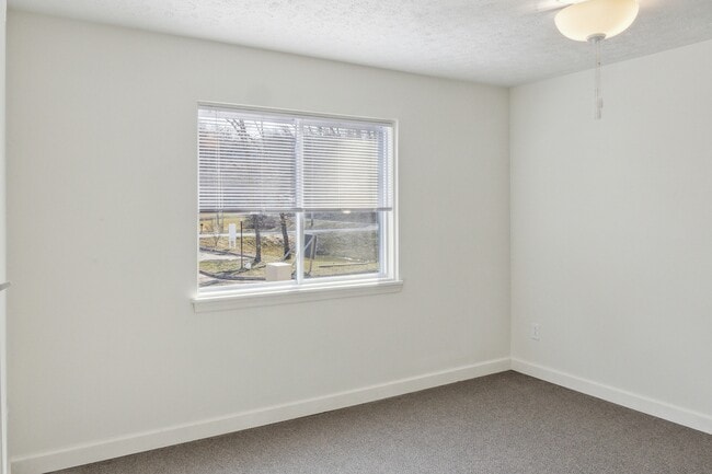 Photo - Tremont Park