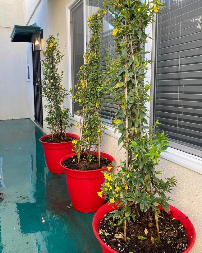 Main Entrance - 1707 Barry Ave Unit 1705