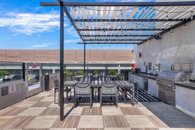 Rooftop BBQ & Pizza Oven