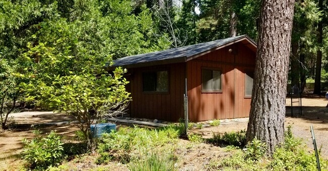 TODD VALLEY (Foresthill) SHARED PROPERTY - TODD VALLEY (Foresthill) SHARED PROPERTY Apartment Unit 488502 - 5847 Silverleaf Drive (ADU-cottage)