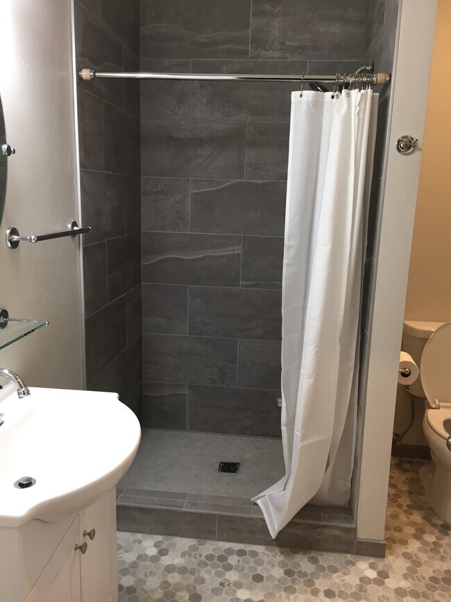 Bathroom - 303 N Walnut St Unit 1