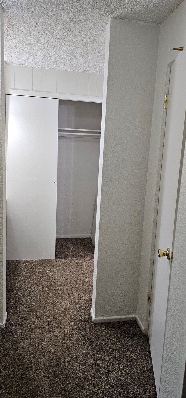Photo - 1160 N Ogden St Unit 205