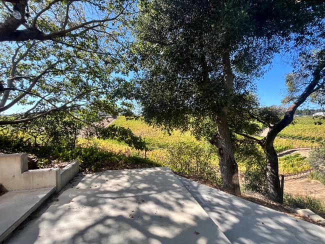 Photo - 2893a Scotts Right of Way Unidad Lower