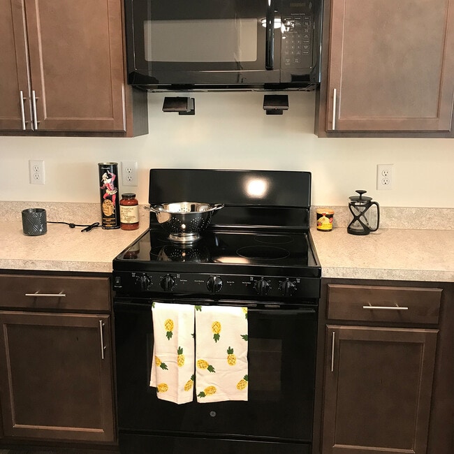 Sleek black kitchen appliances