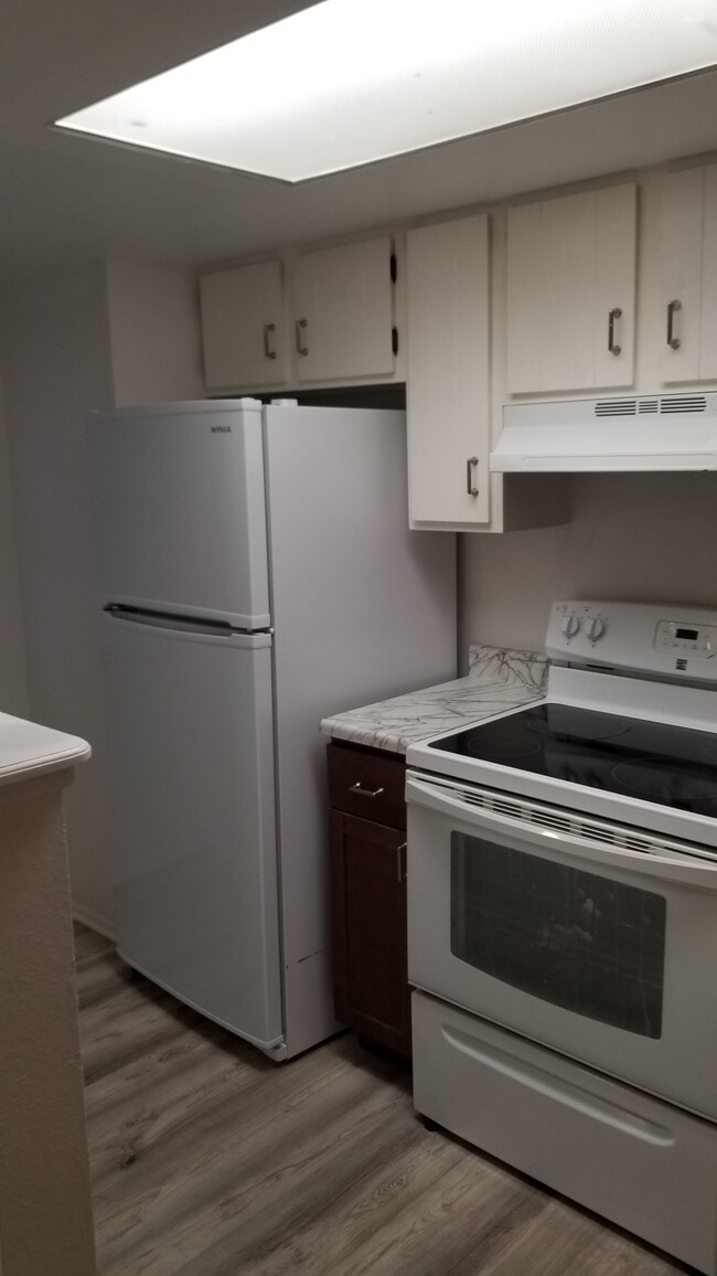 Kitchen - 56 Bonnymede Rd