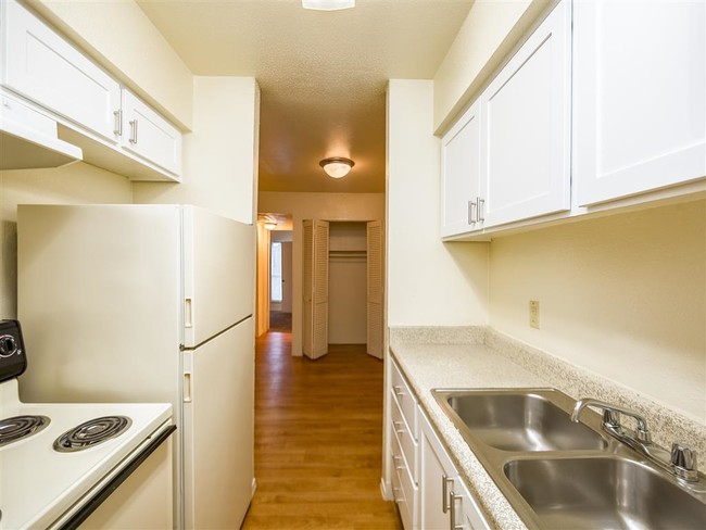 Photo - Willow Tree Apartments