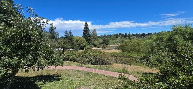 Photo - Charming Boutique Studio – Watertrough Road | Near Sebastopol & Bodega Bay