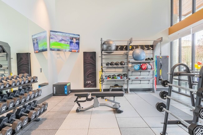 Free Weights and TRX Station in the Fitness Center