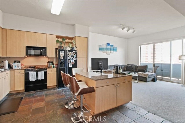 388 E Ocean Blvd Unit 1412