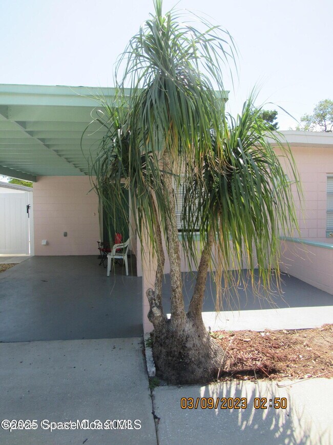 Photo - 113 Harrison Ave