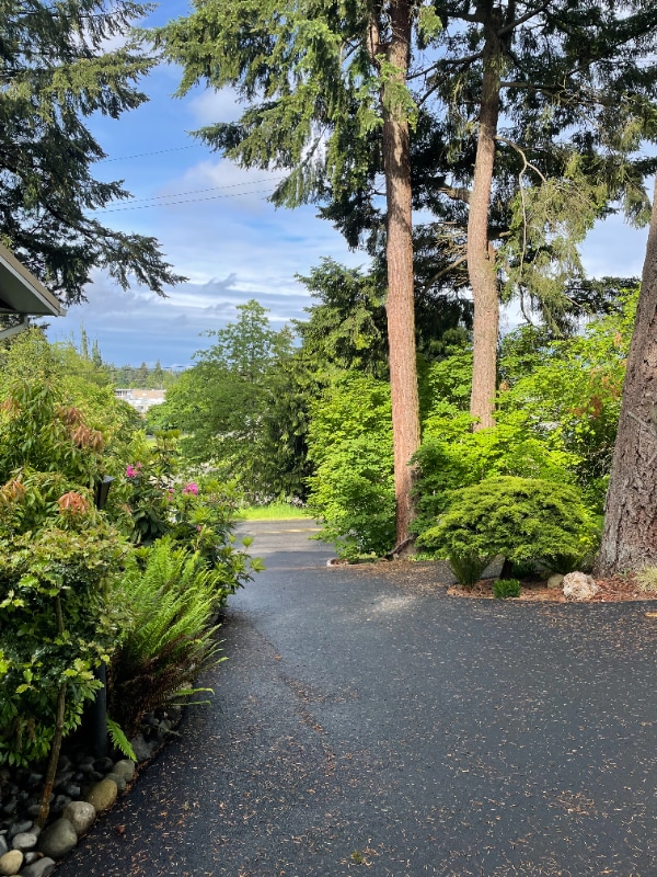 Photo - 12511 A St S