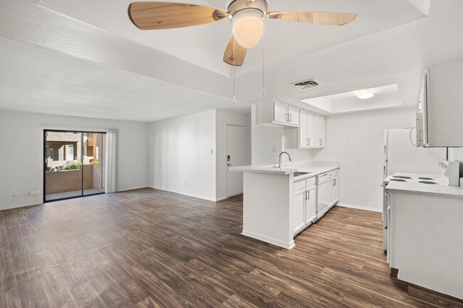 Living Room and Kitchen Area
