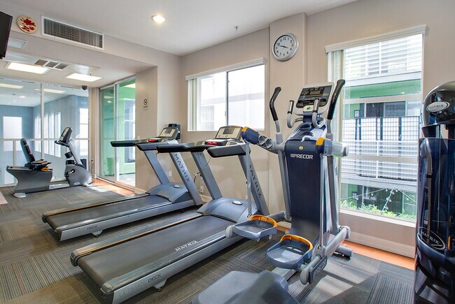 Photo - Park Catalina