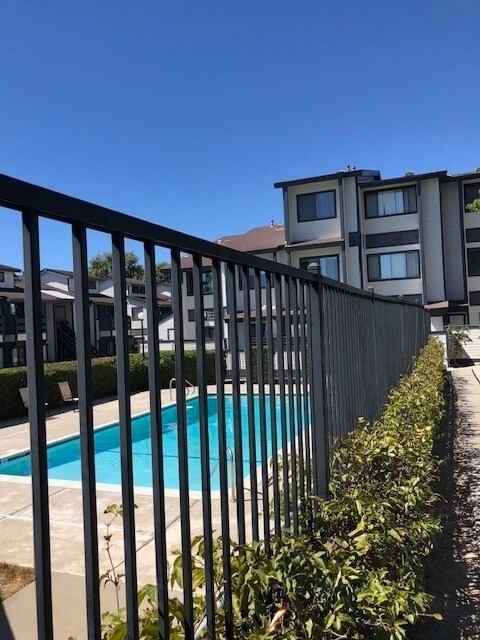 Community Pool. - 45 Stenner Street Apartments Unit 45-0