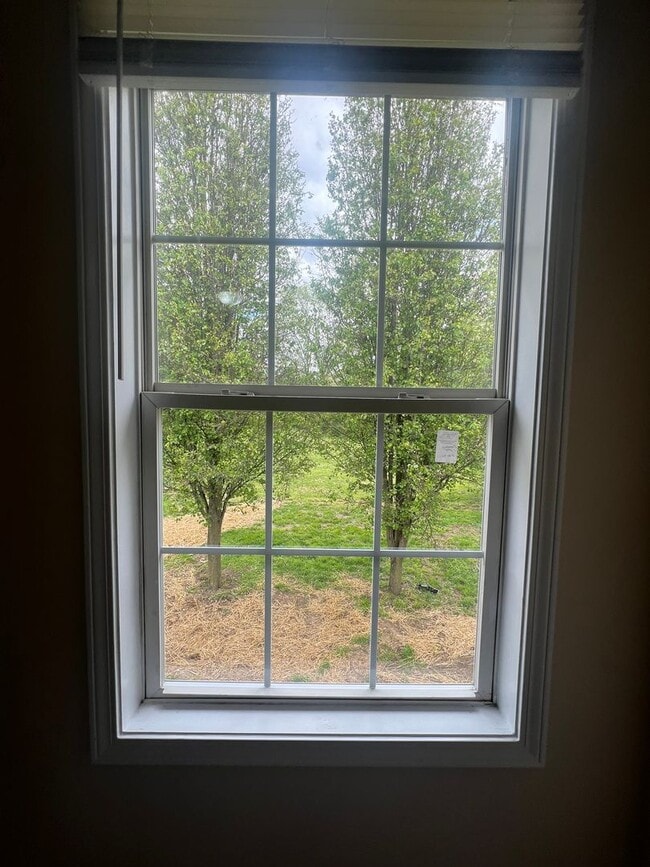 Photo - 3 BEDROOM-, 2 BATH MUST SEE!