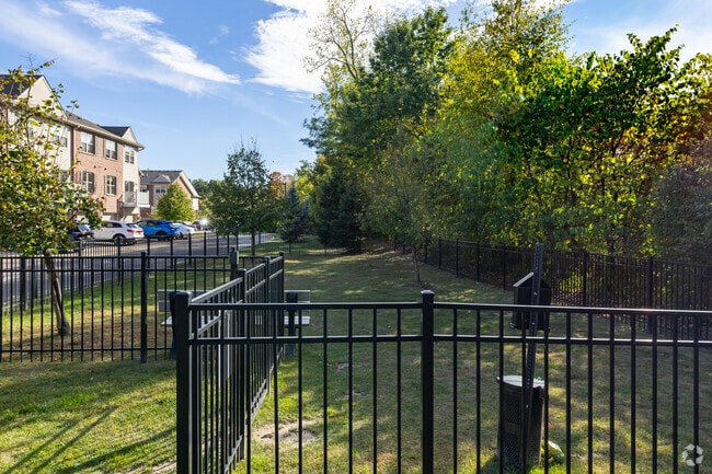 Dog Park