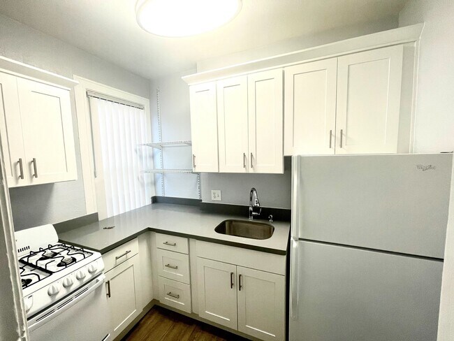 101 SC KITCHEN PIC 1 - Scandia Mignon Apartment Homes
