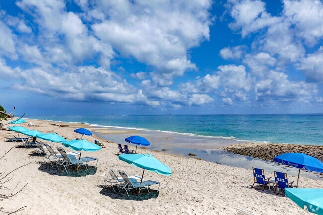 Building Photo - 4200 N Ocean Dr Unit 2-102 Rental