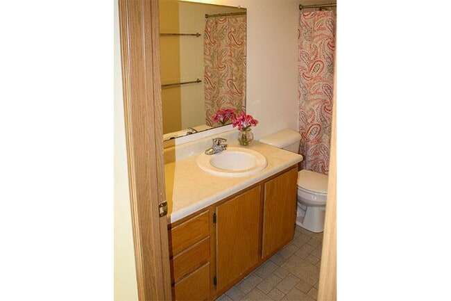 Meadow Lake of Clear Lake Apartments
