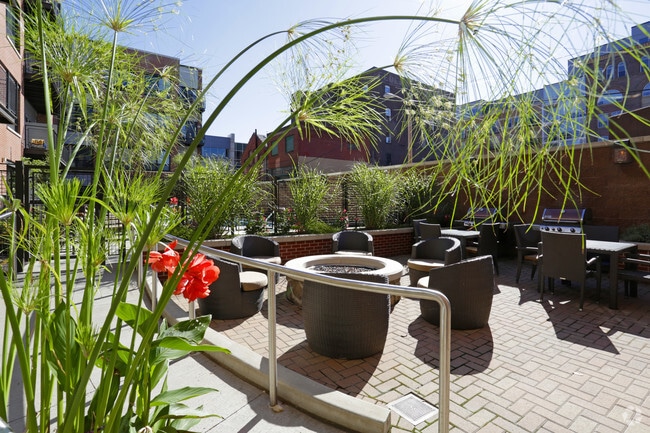 Lot 24 Apartments