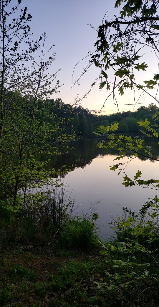 Photo - 4422 Beechnut Ln