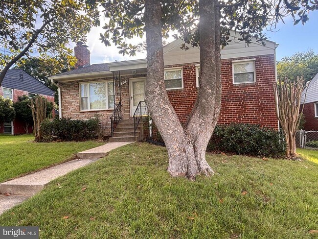 11203 Dodson Ln