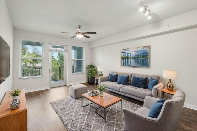 Congress Grove - Congress Grove