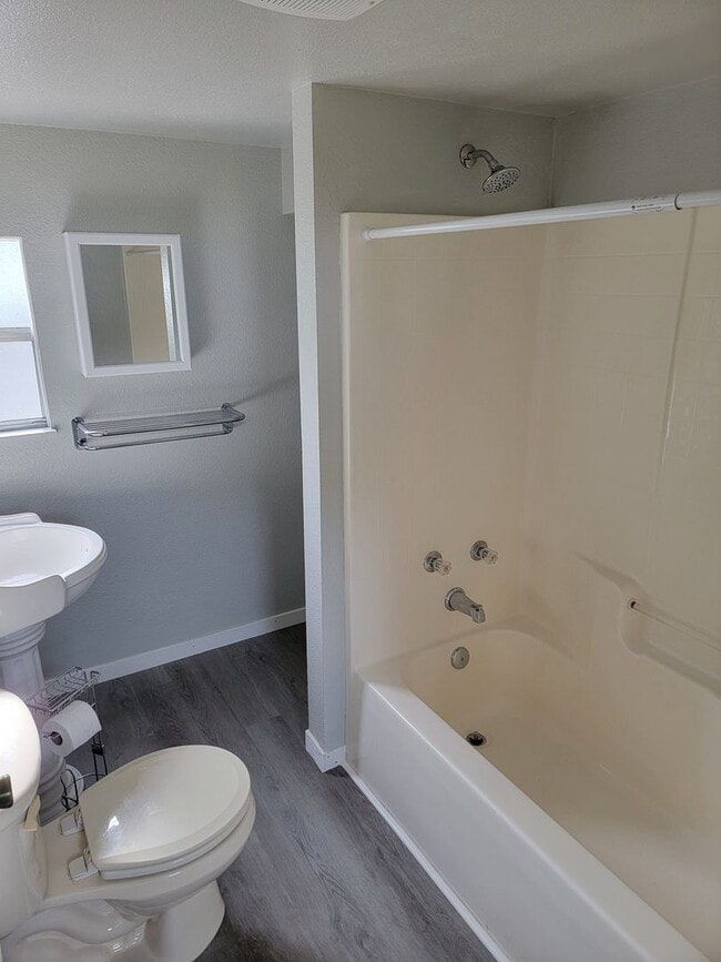 Photo - Completely Renovated HUGE 1/1!!!