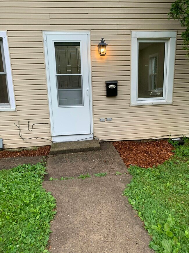 1002 Bush Street, Townhome Unit Lower Townhome Rental in Red Wing MN