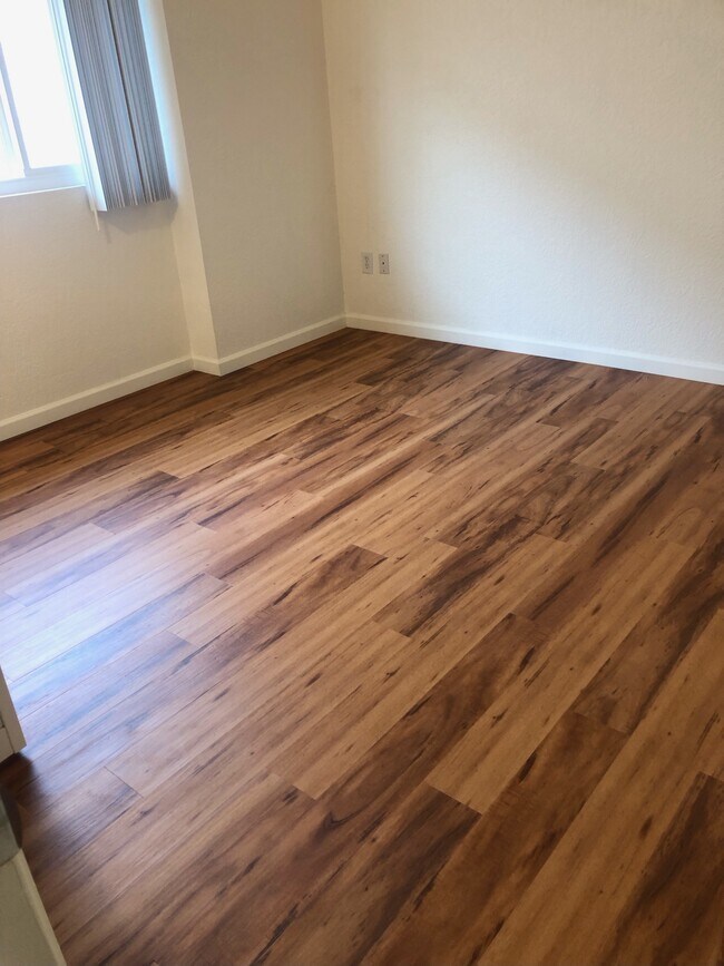 Photo - The Franciscan