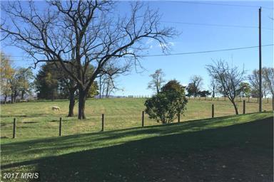 Photo - Country Living!