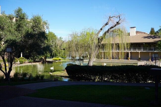 Pond and Clubhouse