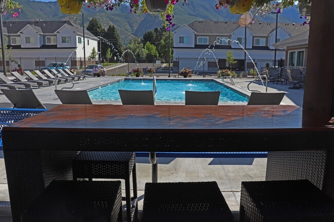 Grilling and Bar Top